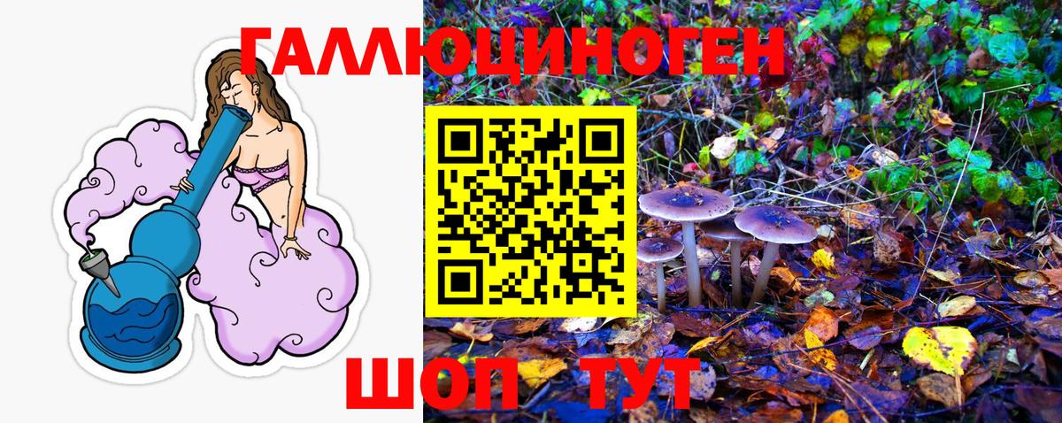 Псилоцибиновые грибы Psilocybe  где найти наркотики  Артём  Вход с VPN 